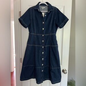 Free Assembly Jean Midi Dress